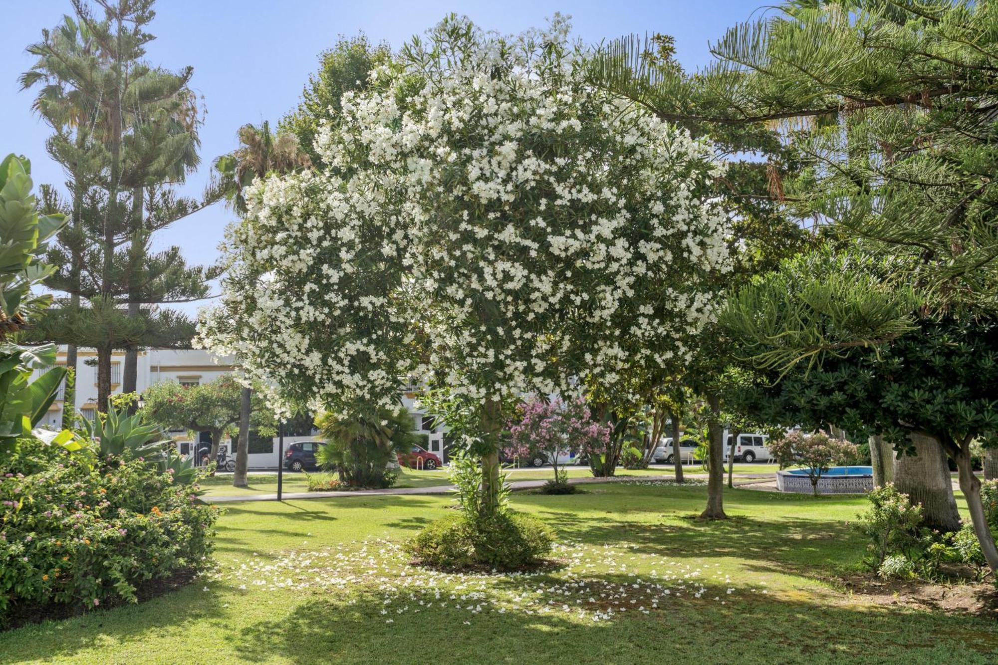 Casa Adriana Villa Marbella Buitenkant foto